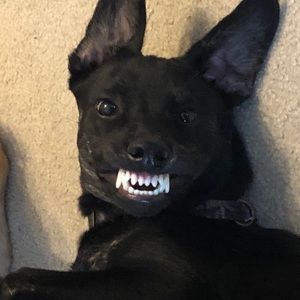 Meet your Posher, Mary kate